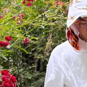 日本女人京香配种视频
