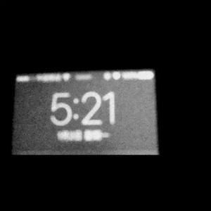 日本女人京香配种视频
